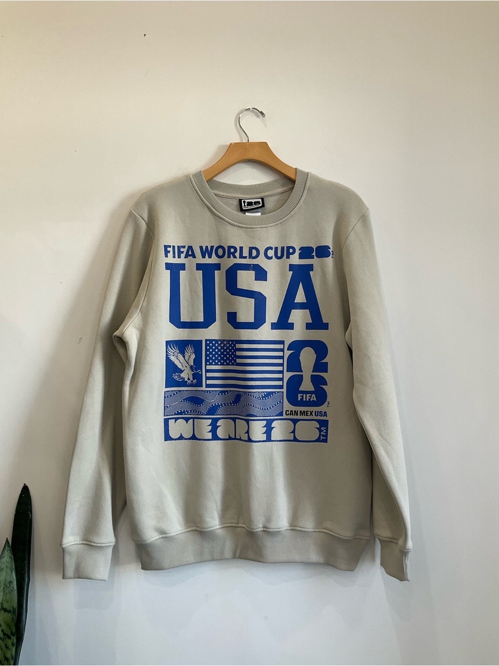 FIFA World Cup USA Graphic Crewneck Sweater - Light Gray with Blue Print